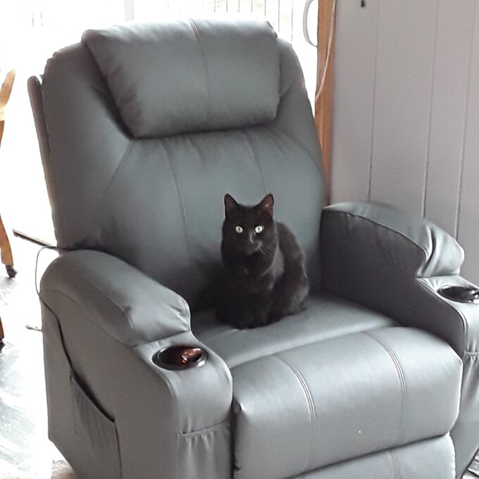 Faux Leather Heated Massage Chair