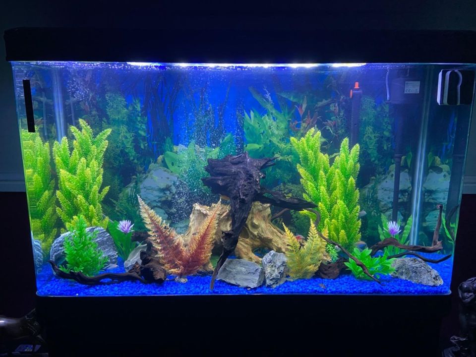 Large Fish Tank Aquarium 4ft 700L Marine Tropical Saltwater Freshwater