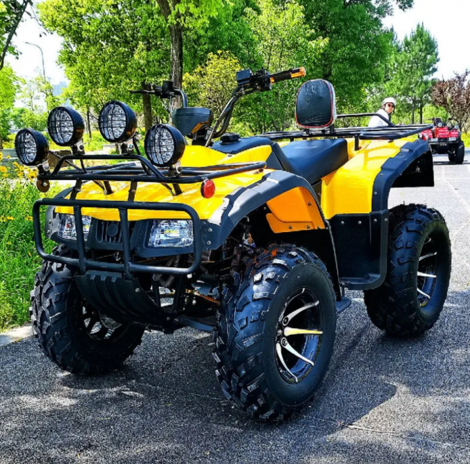 250cc Four-Wheel Drive ATV  Quad ATV Farmer Quad Bike