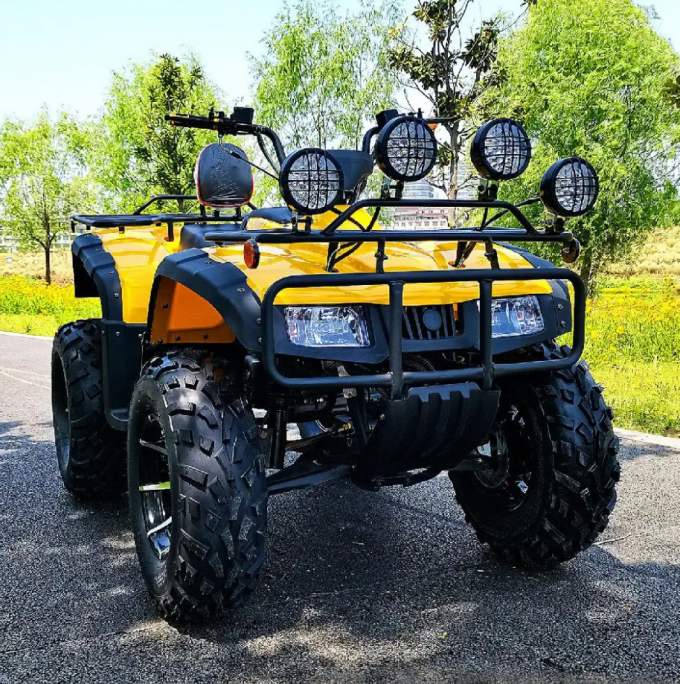 250cc Four-Wheel Drive ATV  Quad ATV Farmer Quad Bike