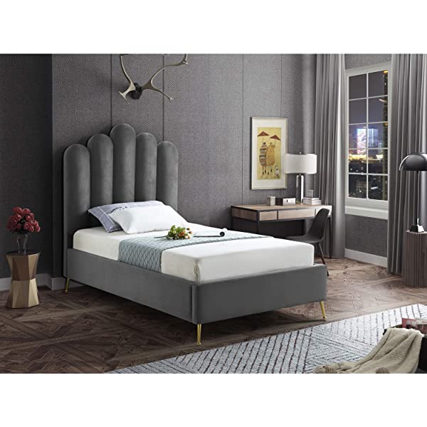 Meridian Furniture Lily Collection Modern | Contemporary Velvet Upholstered Bed with Deep Channel Tufting and Custom Gold Steel Legs, Queen, Cream Cream Queen