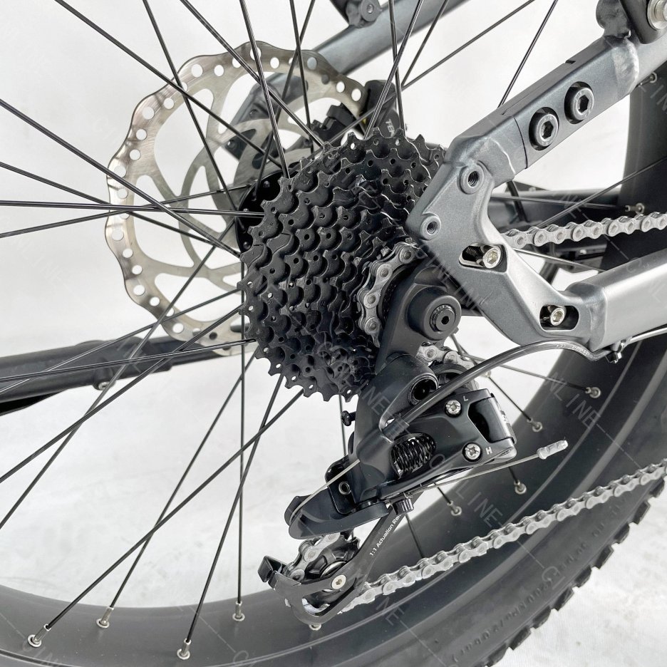 Fat tire Ebike long range easy rider central motor mountain electric bikes 48V 1000W